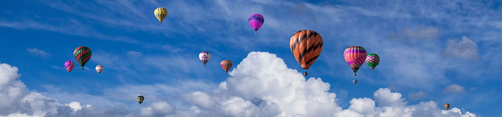 画眉鸟吧交流群